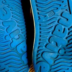 Natives C11 light use